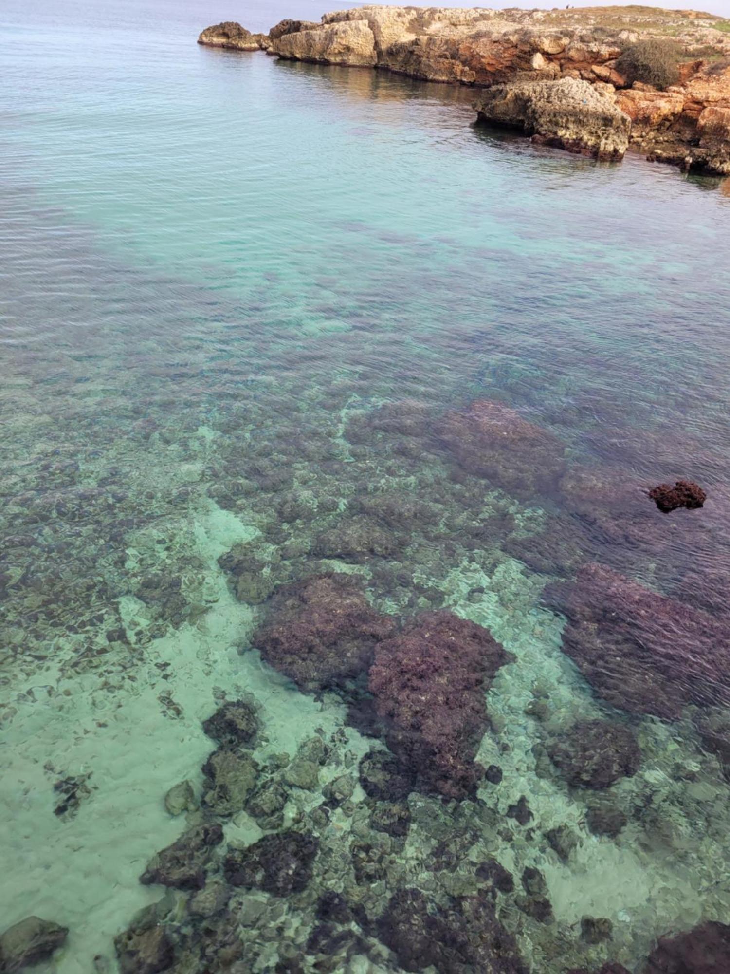 Cala Paradiso Monopoli Zewnętrze zdjęcie