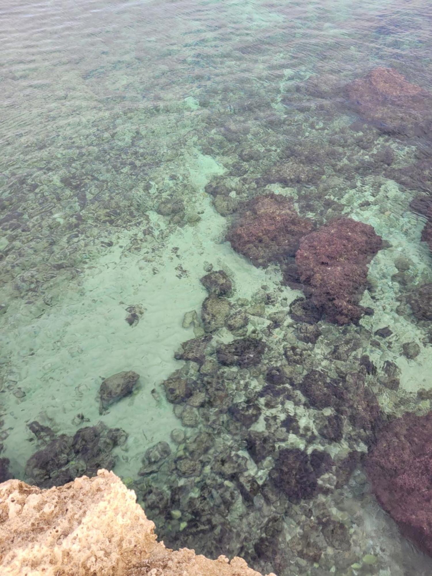 Cala Paradiso Monopoli Zewnętrze zdjęcie