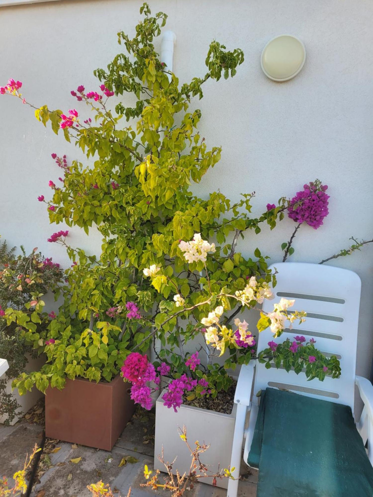 Cala Paradiso Monopoli Zewnętrze zdjęcie